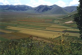  Castelluccio valley 