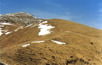 Monte Meda