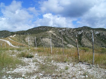  Pohled z p�ist�va�ky, Azua 