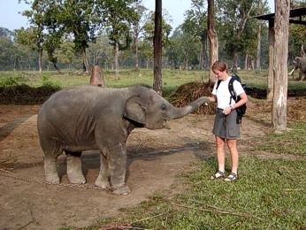  Slon� �kolka v NP Chitwan 