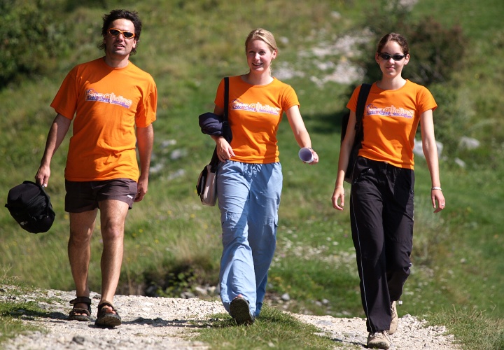  Organizers 