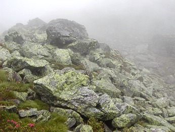  Steirische Kalkspitze 