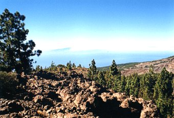  South slopes of Tenerife island 