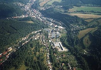 Kraslická chobotnice