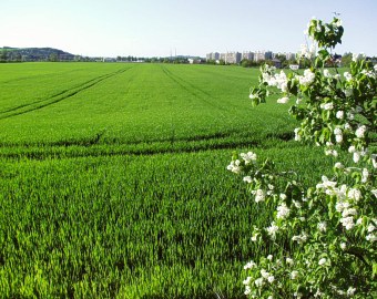  P�ist�va�ka na ji�n�m okraji Valmezu pod Krplovem 