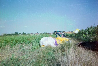 Artur v kukuřici