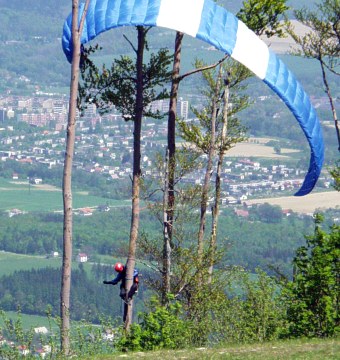 Drevokocúr