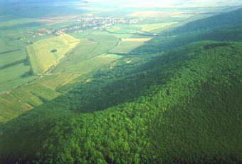 Orešany zhora