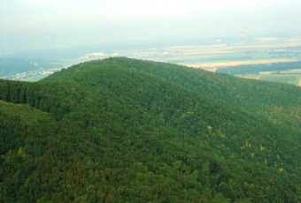 Orešany zboku