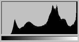 ... a jeho histogram (tmavé odstíny chybí)