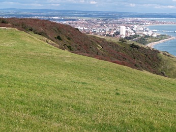 Startoviště