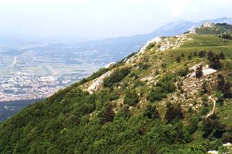  Kovk 