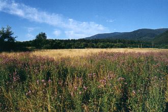  P�ist�va�ka u kempu Turiec 