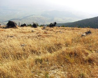 Startoviště