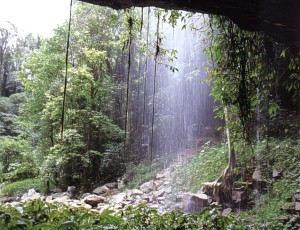  Bez koment��e ... 