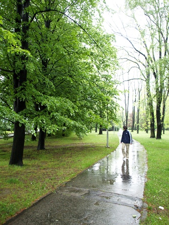  Bez komet��e 