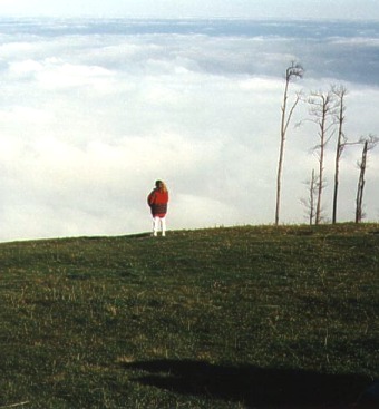  Bez koment��e ... 