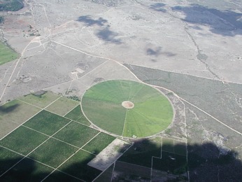  Zaj�mav� n�pady brazilsk�ch zem�d�lc� 