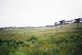  �idovsk� sv�cny z vlaku z Curitiby do Panqa 