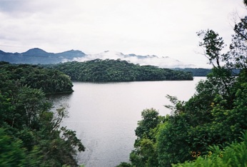  D�ungle a hory z vlaku 