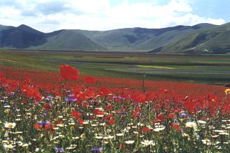  Dno �dol� vesni�ky Castelluccio 