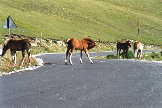  N�kter� �seky silnice je t�eba protroubit 