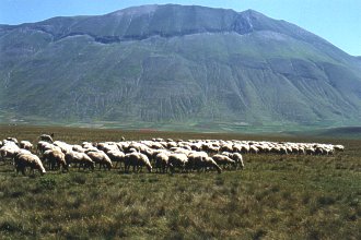  Lidupr�zdn� Piano Grande a z�padn� svahy Monte Vettore 