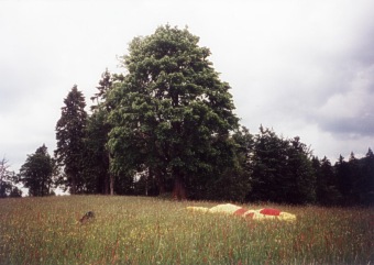  Po p�ist�n� u p�ehrady Sou� 