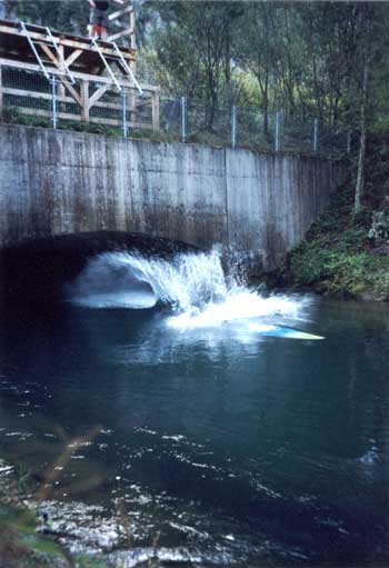  Start kajak��� 