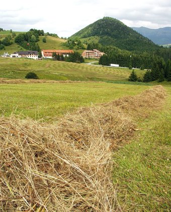  P�ist�va�ka v Donovalech 