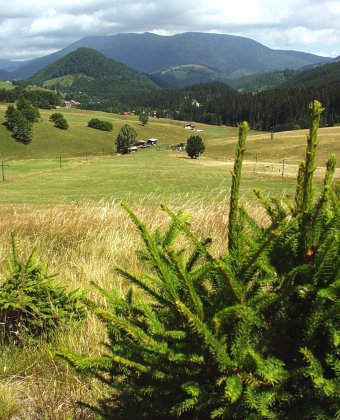  Donovalsk� �dol� 