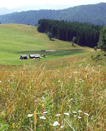  Sala� m�stn�ho ba�i 