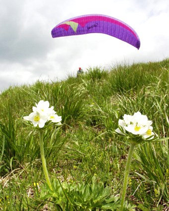  Na startovi�ti Nov� hola 