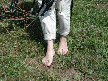  Bos� Martin Pacejka 