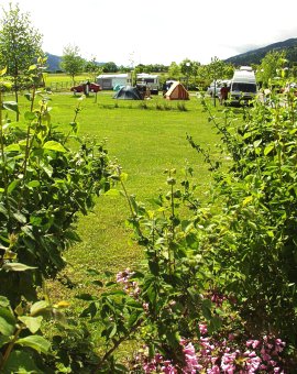 Camping Am See