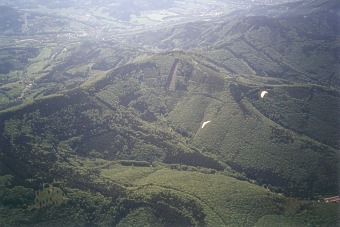  H�eben u Javorov�ho v Beskydech 