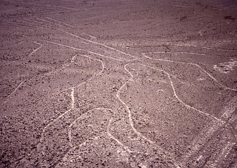  Peru - Nazca 