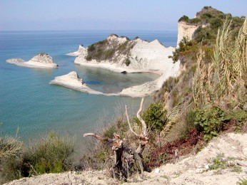 Akr.Drastis