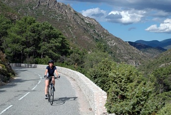  Sout�ska Callacucia 