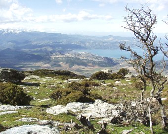 Shore near St. Florent town