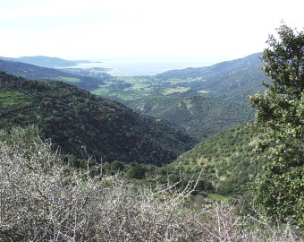  Valley near Propriano town 