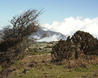  Clouds above the hills 