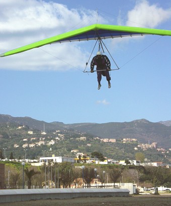  Mila is landing 