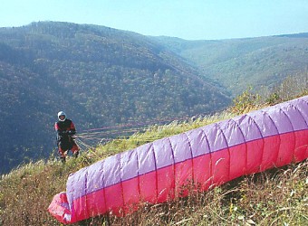  Bez koment��e ... 