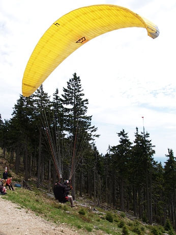  Startuje Louise Burnham 