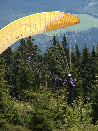  Pr� p�ist�n� do lesa - p�d jako vy�it�! 