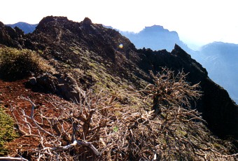 V národním parku Parque de la Caldera de Taburiente V národním parku Parque de la Caldera de Taburiente