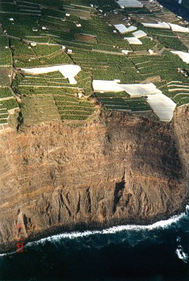 Banánové plantáže na okraji útesu u Puerto de Tazacorte Banánové plantáže na okraji útesu u Puerto de Tazacorte