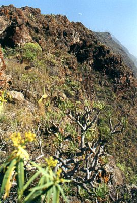  The edge of the cliff above Mirador El Time 