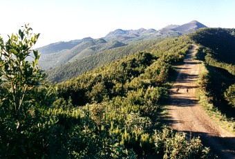 Střední část hřebene ostrova La Palma brzy po ránu Střední část hřebene ostrova La Palma brzy po ránu